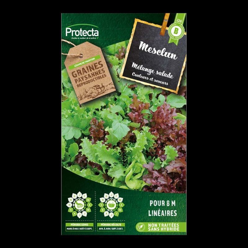 Mesclun salade en mélange