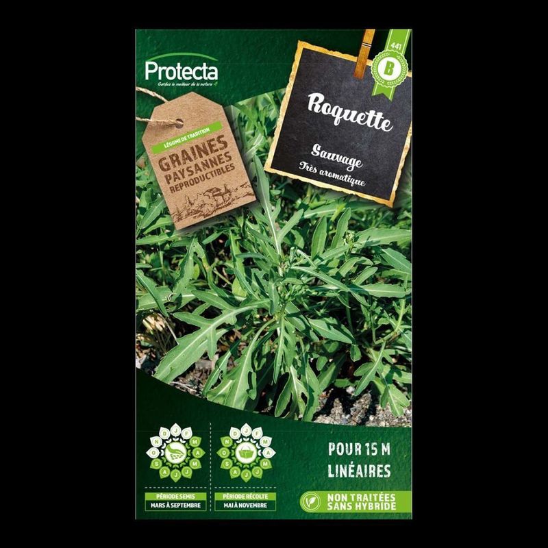 Roquette Sauvage