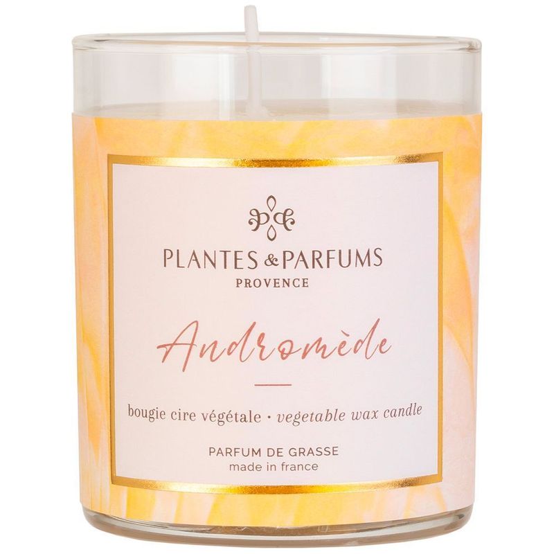 Bougie Végétale Parfumée 180g Andromède