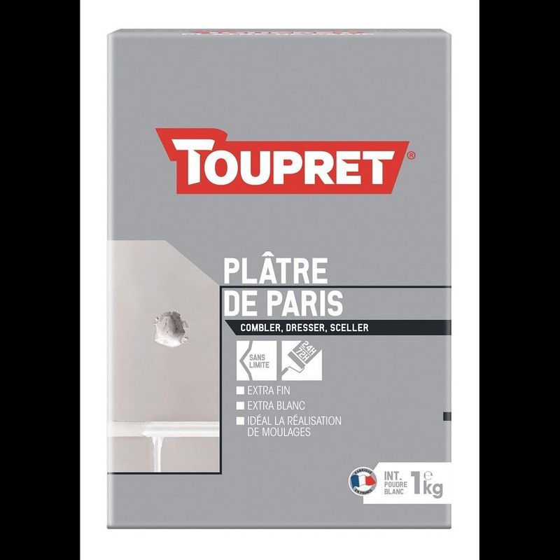 PLATRE DE PARIS POUDRE 1KG
